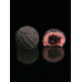 Blackberry